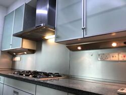 The Light @ Cairnhill (D9), Condominium #413835801